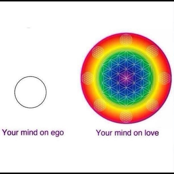 Meet your Posher, Estella - Picture 7 of 15